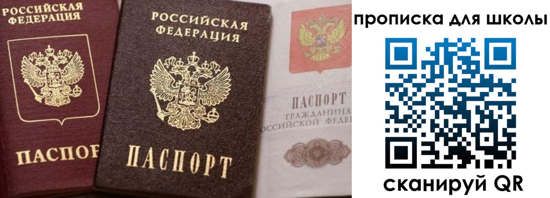 прописка законно в Шали